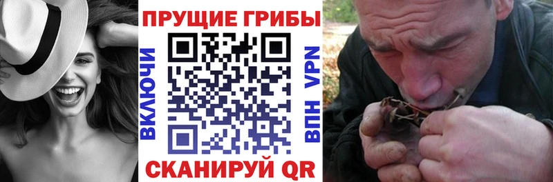 Галлюциногенные грибы MAGIC MUSHROOMS наркошоп блэк спрут зеркало Вичуга